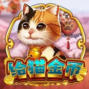 ZG給貓金幣